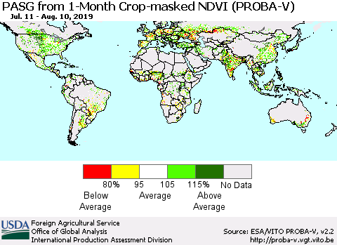 World PASG from 1-Month Crop-masked NDVI (PROBA-V) Thematic Map For 8/1/2019 - 8/10/2019