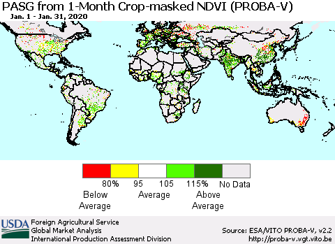 World PASG from 1-Month Crop-masked NDVI (PROBA-V) Thematic Map For 1/21/2020 - 1/31/2020