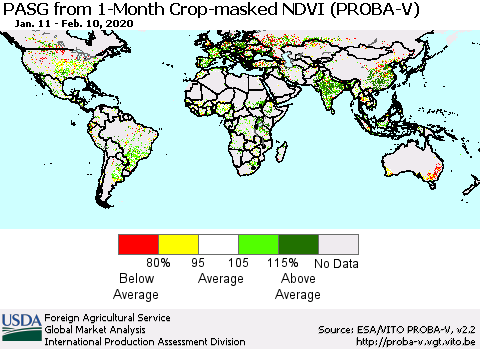 World PASG from 1-Month Crop-masked NDVI (PROBA-V) Thematic Map For 2/1/2020 - 2/10/2020