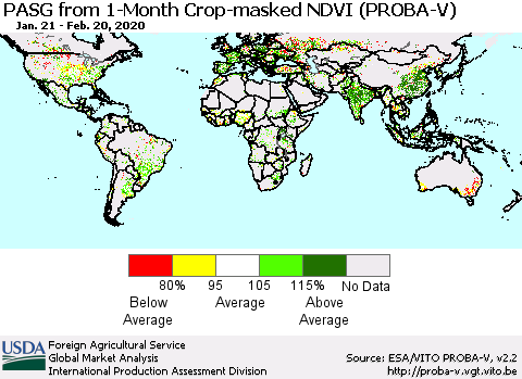 World PASG from 1-Month Crop-masked NDVI (PROBA-V) Thematic Map For 2/11/2020 - 2/20/2020