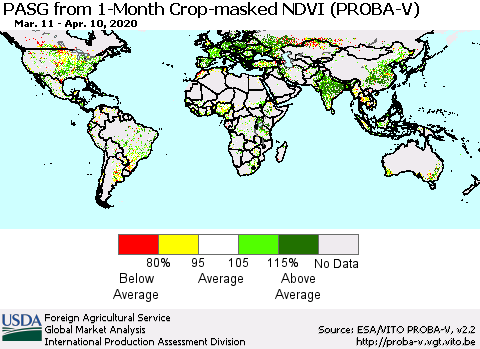 World PASG from 1-Month Crop-masked NDVI (PROBA-V) Thematic Map For 4/1/2020 - 4/10/2020