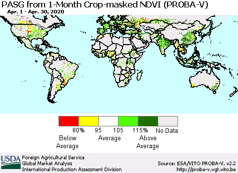 World PASG from 1-Month Crop-masked NDVI (PROBA-V) Thematic Map For 4/21/2020 - 4/30/2020