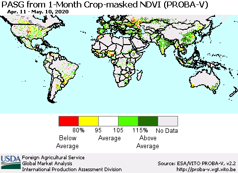 World PASG from 1-Month Crop-masked NDVI (PROBA-V) Thematic Map For 5/1/2020 - 5/10/2020