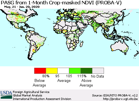 World PASG from 1-Month Crop-masked NDVI (PROBA-V) Thematic Map For 6/11/2020 - 6/20/2020