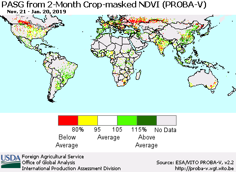 World PASG from 2-Month Crop-masked NDVI (PROBA-V) Thematic Map For 1/11/2019 - 1/20/2019