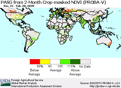 World PASG from 2-Month Crop-masked NDVI (PROBA-V) Thematic Map For 2/11/2020 - 2/20/2020
