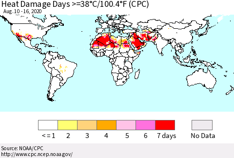 World Heat Damage Days >=38°C/100°F (CPC) Thematic Map For 8/10/2020 - 8/16/2020