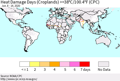 World Heat Damage Days (Croplands) >=38°C/100°F (CPC) Thematic Map For 6/8/2020 - 6/14/2020