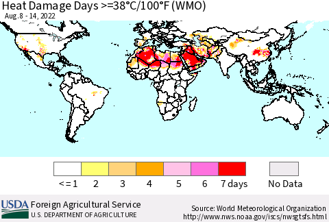 World Heat Damage Days >=38°C/100°F (WMO) Thematic Map For 8/8/2022 - 8/14/2022